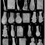 chitinozoa01.jpg