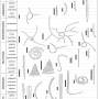 biostratigraphy02.jpg