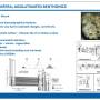 forams07.jpg