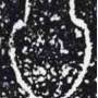 calpionellid01.jpg